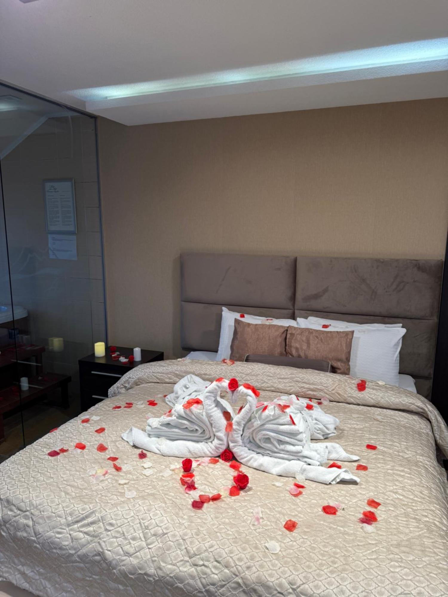 Guest House Panorama Aqualux With Free Parking Novi Sad Ngoại thất bức ảnh