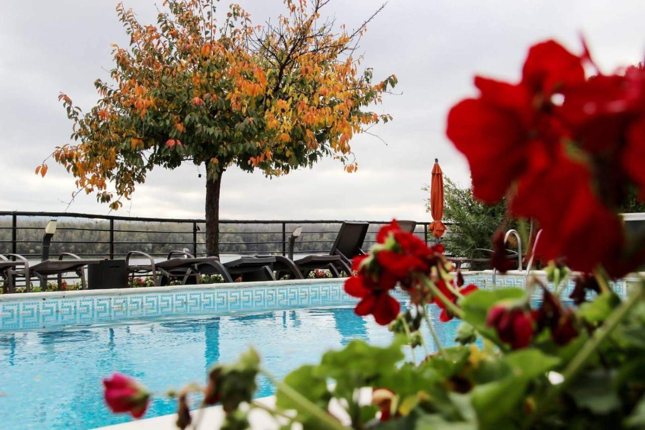 Guest House Panorama Aqualux With Free Parking Novi Sad Ngoại thất bức ảnh